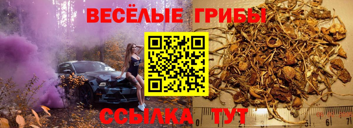 Псилоцибиновые грибы Magic Shrooms Орск