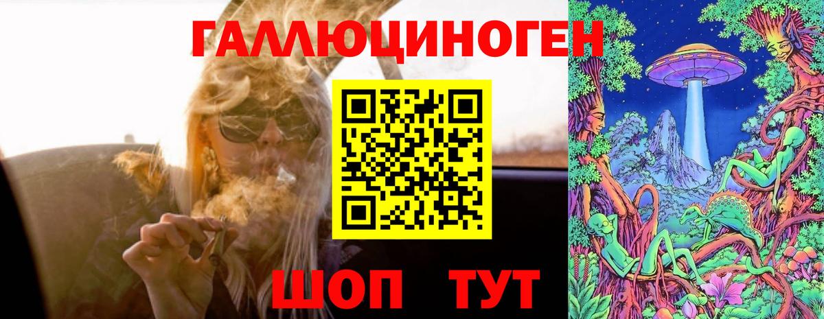 Псилоцибиновые грибы GOLDEN TEACHER  Галлюциногенные грибы прущие грибы  Орск  Вход с VPN 